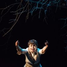 Spooky Aunty Leaf Returns For Encore In English And Spanish At Ancram Opera House