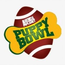 PUPPY BOWL Returns on Sunday, Feb. 2