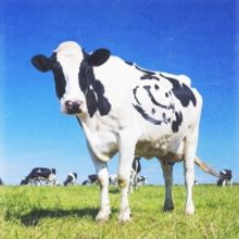 Junior Varsity Release Debut Single 'Cold Blood'