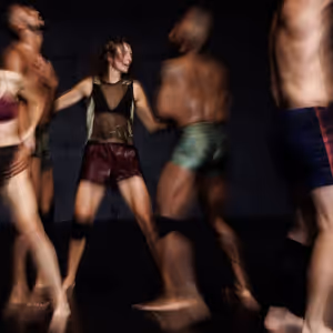 L'Alliance New York to Present Kimberly Bartosik's BLUR