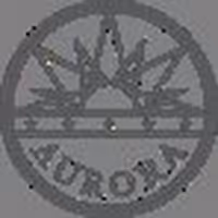 The Aurora Fox Is Reopening!
