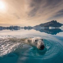 NAT GEO LIVE Comes To The Broad Stage In December