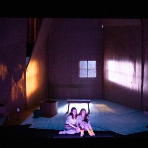 Review: DIRTY BIRDS at Heath Ledger Theater