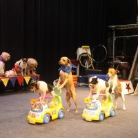 Johnny Peers And The Muttville Comix Come To The Ridgefield Playhouse