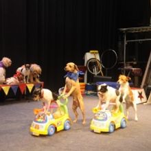 Johnny Peers And The Muttville Comix Come To The Ridgefield Playhouse