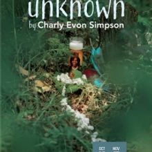 Salt Lake Acting Company Premieres FORM OF A GIRL UNKNOWN