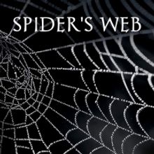 Shannon Condon Promotes Crime Thriller SPIDER'S WEB