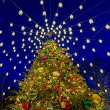 TAVERN ON THE GREEN-The Annual Christmas Tree Lighting on 12/2