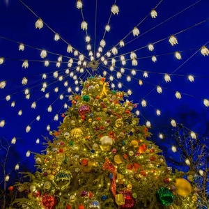 TAVERN ON THE GREEN-The Annual Christmas Tree Lighting on 12/2