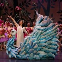 New Ballet Brings THE SAN JOSE NUTCRACKER Home For The Holidays