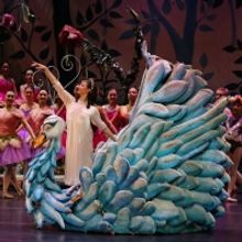 New Ballet Brings THE SAN JOSE NUTCRACKER Home For The Holidays