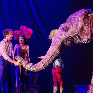 Review: WATER FOR ELEPHANTS at Ohio Theatre - A Spectacle in Search of a Soul