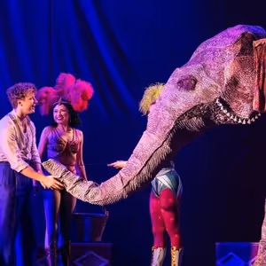 Review: WATER FOR ELEPHANTS at Ohio Theatre - A Spectacle in Search of a Soul