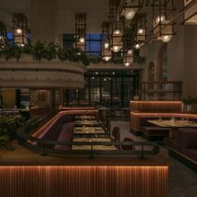 Review: Mesiba's Israeli Cuisine Served in a Lively Williamsburg Setting