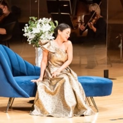 BWW Feature: ONLINE VIRTUAL OPERA TOUR at Home Computer Screens