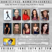 Celia Mei Rubin & Friends to Sing the Music of Seth Bisen-Hersh at Don't Tell Mama in