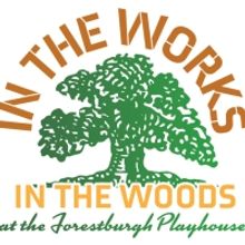 IN THE WORKS ~ IN THE WOODS Second Annual New Works Festival Comes to Forestburgh Pla