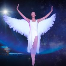 ​​​​​​​Black Girls Dance to Present MARY, A HOLIDAY DANSICAL in Decembe