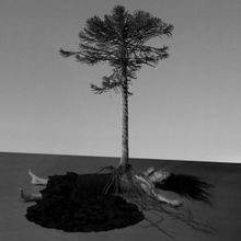 Review: LOVE TO DEATH at Grand Théâtre