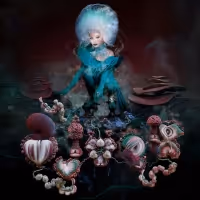 Björk Releases New Album 'fossora'