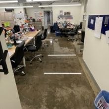 Photos: The Muny Postpones Tonight's Performance of LEGALLY BLONDE Due to Flooding