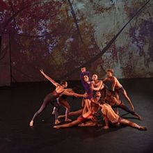 FJK Dance Returns To New York Live Arts For Ninth Season