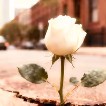 Cheryl 'Salt' James Releases Visual For Summer Anthem 'Overcomers' Featuring Erica Campbell