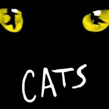 Cast Set For 40th Anniversary Australian Tour of CATS