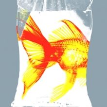 Forward Theater Opens 2019-20 Season with MARY JANE