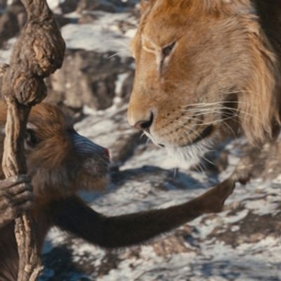 MUFASA: EL REY LE&Oacute;N llega a Disney + el 26 de marzo