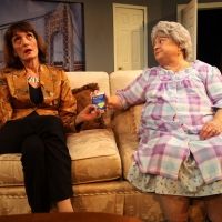 Westport Community Theatre Announces THE TALE OF THE ALLERGIST'S WIFE