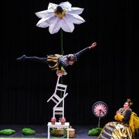 EDINBURGH 2022: A BEE STORY Q&A
