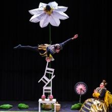 EDINBURGH 2022: A BEE STORY Q&A