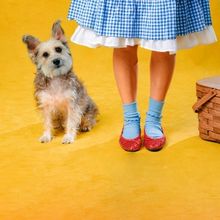 Interview: Jenny Lavery of THE WIZARD OF OZ at San Pedro Playhouse