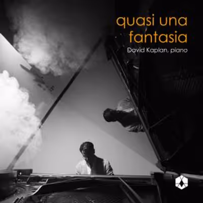 Photos: Pianist David Kaplan to Release QUASI UNA FANTASIA Album