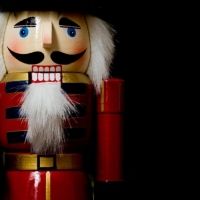 THE NUTCRACKER Ballet to be Performed With Detroit Symphony Youth Orchestra in Decemb Interview