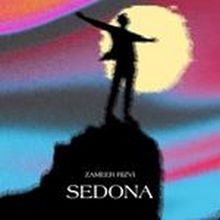 Zameer Rizvi to Release New Studio Album 'Audacity'