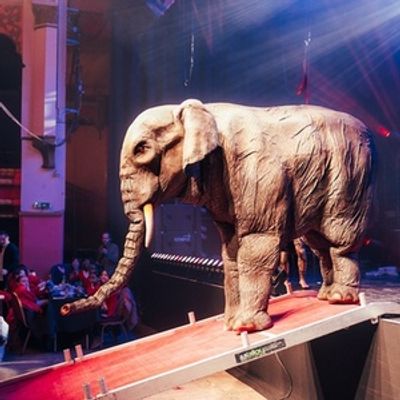 New Liverpool Olympia CIC Officially Launched At Special Opening Event