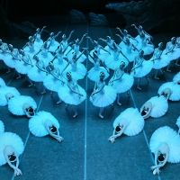 Shanghai Ballet And China Arts And Entertainment Group Ltd Present GRAND SWAN LAKE