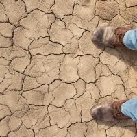 BWW REVIEW: American Classic THE GRAPES OF WRATH Serves As A Reminder Of The Human Spirit And The Inhumanity Of Government And Big Business