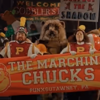 VIDEO: First Look at GROUNDHOG DAY: THE MUSICAL at Paramount Theatre Video