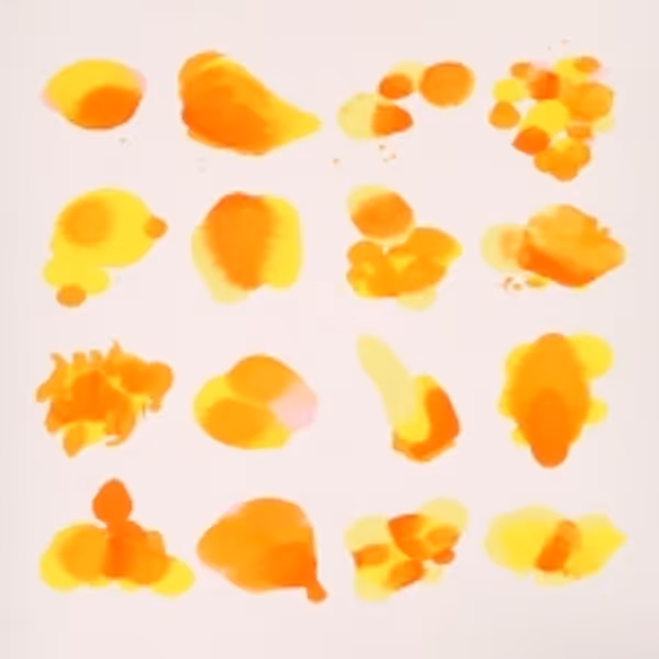 Born Ruffians Share New Single 'Chrysanthemums' Photo