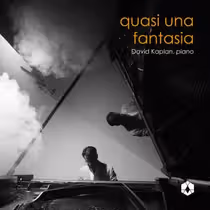 Photos: David Kaplan Releases First Single from QUASI UNA FANTASIA Album