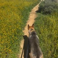 Student Blog: Tools of Management