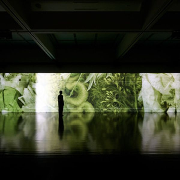 M+ to Showcase Ryuichi Sakamoto's SEEING SOUND, HEARING TIME Exhibition Photo