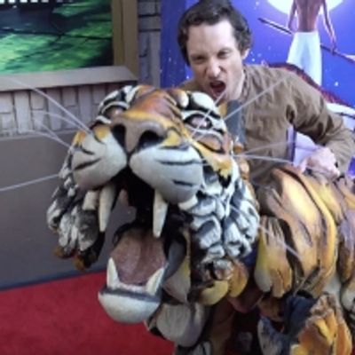 Video: LIFE OF PI Company Celebrates Opening Night on Broadway