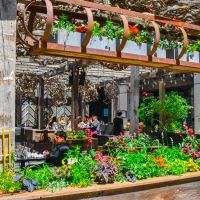 BWW Review: HARPER'S GARDEN in Philadelphia for All Your Brunch Cravings