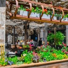 BWW Review: HARPER'S GARDEN in Philadelphia for All Your Brunch Cravings