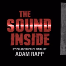 Singapore Repertory Theatre to Present THE SOUND INSIDE