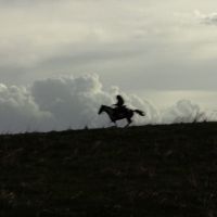 VIDEO: Watch the All-New Trailer For Western-Horror Film BLACK WOOD Video